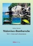 Malawisee buntbarsche - malawisee-buntbarsche, 02