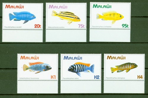 Malawi 1994 fische - malawi,