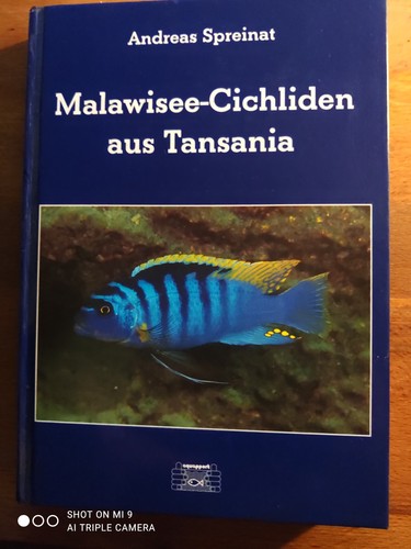 Malawisee cichliden aus - malawisee-cichliden,