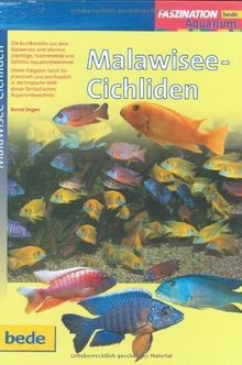 Malawisee-Cichliden