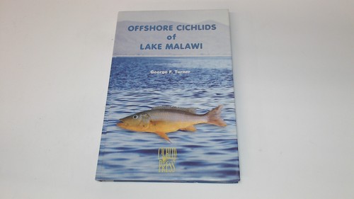 Offshore cichlids of lake - cichlids,