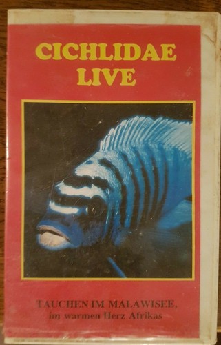 Cichlidae live tauchen im - /,