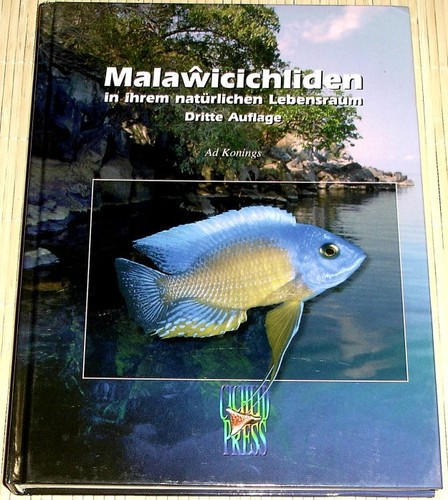 Malawicichliden ihrem - malawicichliden,
