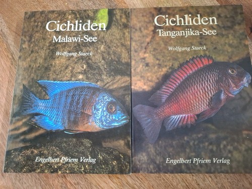 Cichliden malawi tanganjika - +,