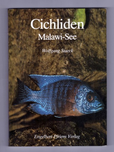 Cichliden malawi see - cichliden,