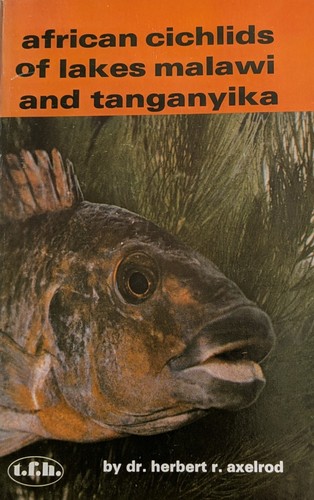 African cichlids lakes - african, of