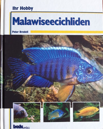 Malawisee cichliden bredell - malawisee-cichliden,