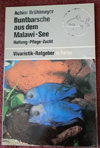 Buntbarsche aus dem - , malawi-see