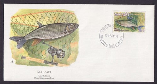 Malawi südafrika fauna - malawi,